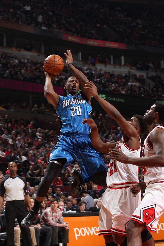 夏洛特黄蜂 夏洛特黄蜂