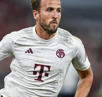 胜利是策略 胜利是策略